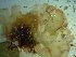  ( - GWS023432)  @11 [ ] Unspecified (default): All Rights Reserved  Unspecified Unspecified