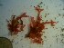  ( - GWS023438)  @11 [ ] Unspecified (default): All Rights Reserved  Unspecified Unspecified
