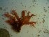  ( - GWS023446)  @11 [ ] Unspecified (default): All Rights Reserved  Unspecified Unspecified