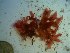  ( - GWS023467)  @11 [ ] Unspecified (default): All Rights Reserved  Unspecified Unspecified