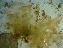  ( - GWS023511)  @11 [ ] Unspecified (default): All Rights Reserved  Unspecified Unspecified