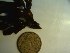  ( - GWS023553)  @12 [ ] Unspecified (default): All Rights Reserved  Unspecified Unspecified