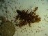  ( - GWS023567)  @11 [ ] Unspecified (default): All Rights Reserved  Unspecified Unspecified