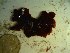  ( - GWS023596)  @11 [ ] Unspecified (default): All Rights Reserved  Unspecified Unspecified