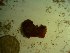  ( - GWS023604)  @11 [ ] Unspecified (default): All Rights Reserved  Unspecified Unspecified