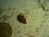  ( - GWS023619)  @11 [ ] Unspecified (default): All Rights Reserved  Unspecified Unspecified