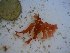  ( - GWS023670)  @11 [ ] Unspecified (default): All Rights Reserved  Unspecified Unspecified