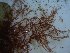  ( - GWS023695)  @11 [ ] Unspecified (default): All Rights Reserved  Unspecified Unspecified