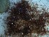  ( - GWS023755)  @11 [ ] Unspecified (default): All Rights Reserved  Unspecified Unspecified