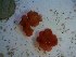  ( - GWS023756)  @12 [ ] Unspecified (default): All Rights Reserved  Unspecified Unspecified