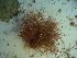  ( - GWS023791)  @11 [ ] Unspecified (default): All Rights Reserved  Unspecified Unspecified