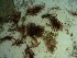  ( - GWS023818)  @11 [ ] Unspecified (default): All Rights Reserved  Unspecified Unspecified