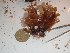  ( - GWS023893)  @11 [ ] Unspecified (default): All Rights Reserved  Unspecified Unspecified