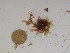  ( - GWS024207)  @11 [ ] Unspecified (default): All Rights Reserved  Unspecified Unspecified