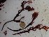  ( - GWS024661)  @11 [ ] Unspecified (default): All Rights Reserved  Unspecified Unspecified