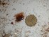  ( - GWS024859)  @11 [ ] Unspecified (default): All Rights Reserved  Unspecified Unspecified