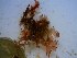  ( - GWS024915)  @11 [ ] Unspecified (default): All Rights Reserved  Unspecified Unspecified