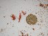 ( - GWS024949)  @12 [ ] Unspecified (default): All Rights Reserved  Unspecified Unspecified