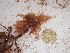  ( - GWS024998)  @11 [ ] Unspecified (default): All Rights Reserved  Unspecified Unspecified