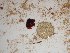  ( - GWS025081)  @11 [ ] Unspecified (default): All Rights Reserved  Unspecified Unspecified