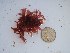  ( - GWS025291)  @11 [ ] Unspecified (default): All Rights Reserved  Unspecified Unspecified