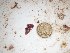  ( - GWS025353)  @11 [ ] Unspecified (default): All Rights Reserved  Unspecified Unspecified