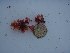  ( - GWS025389)  @11 [ ] Unspecified (default): All Rights Reserved  Unspecified Unspecified