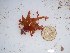  ( - GWS025413)  @11 [ ] Unspecified (default): All Rights Reserved  Unspecified Unspecified