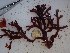 ( - GWS025426)  @11 [ ] Unspecified (default): All Rights Reserved  Unspecified Unspecified