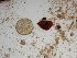  ( - GWS025476)  @11 [ ] Unspecified (default): All Rights Reserved  Unspecified Unspecified
