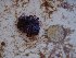 ( - GWS025647)  @11 [ ] Unspecified (default): All Rights Reserved  Unspecified Unspecified