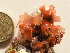  ( - GWS029124)  @11 [ ] CreativeCommons - Attribution Non-Commercial Share-Alike (2011) Gary W. Saunders University of New Brunswick