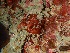  ( - GWS032282)  @11 [ ] Unspecified (default): All Rights Reserved  Unspecified Unspecified