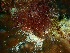  ( - GWS032283)  @11 [ ] Unspecified (default): All Rights Reserved  Unspecified Unspecified