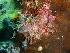  ( - GWS032325)  @11 [ ] Unspecified (default): All Rights Reserved  Unspecified Unspecified
