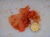  ( - GWS032487)  @11 [ ] Unspecified (default): All Rights Reserved  Unspecified Unspecified