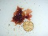  ( - GWS032514)  @11 [ ] Unspecified (default): All Rights Reserved  Unspecified Unspecified