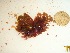  ( - GWS032534)  @11 [ ] Unspecified (default): All Rights Reserved  Unspecified Unspecified
