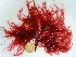  ( - GWS032554)  @11 [ ] Unspecified (default): All Rights Reserved  Unspecified Unspecified