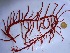  ( - GWS032590)  @11 [ ] Unspecified (default): All Rights Reserved  Unspecified Unspecified