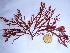  ( - GWS032598)  @11 [ ] Unspecified (default): All Rights Reserved  Unspecified Unspecified