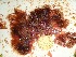 ( - GWS032607)  @11 [ ] Unspecified (default): All Rights Reserved  Unspecified Unspecified