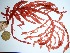  ( - GWS032649)  @11 [ ] Unspecified (default): All Rights Reserved  Unspecified Unspecified