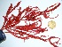  ( - GWS032650)  @11 [ ] Unspecified (default): All Rights Reserved  Unspecified Unspecified