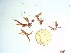 ( - GWS032666)  @11 [ ] Unspecified (default): All Rights Reserved  Unspecified Unspecified