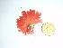  ( - GWS032714)  @11 [ ] Unspecified (default): All Rights Reserved  Unspecified Unspecified