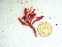  ( - GWS032723)  @11 [ ] Unspecified (default): All Rights Reserved  Unspecified Unspecified