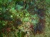  ( - GWS032726)  @11 [ ] Unspecified (default): All Rights Reserved  Unspecified Unspecified