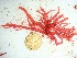  ( - GWS032747)  @11 [ ] Unspecified (default): All Rights Reserved  Unspecified Unspecified