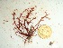  ( - GWS032766)  @11 [ ] Unspecified (default): All Rights Reserved  Unspecified Unspecified